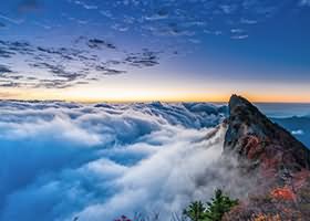 Linux查看文件目录的大小和文件夹包含的文件数